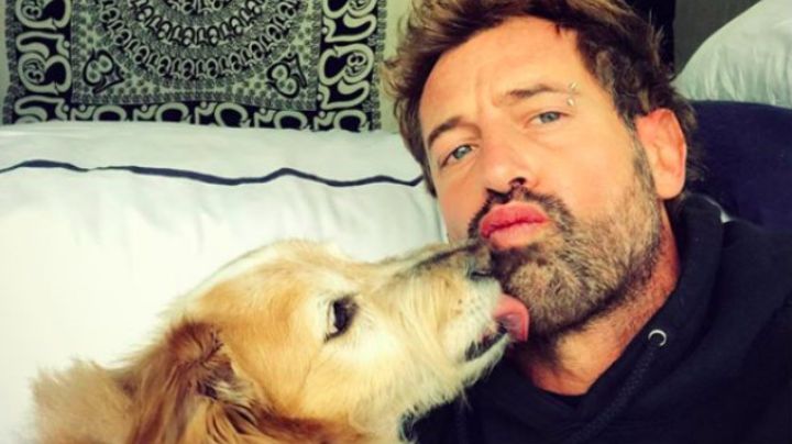 Gabriel Soto demanda a revista de espectáculos por difamación