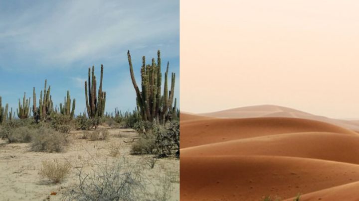 Hermosillo está más caliente que el desierto del Sahara; registra 48 grados de temperatura