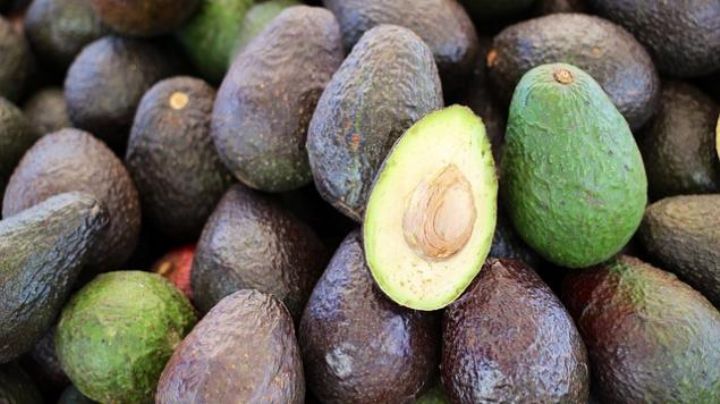 México la libra: Aguacate mexicano bastó para el Super Bowl