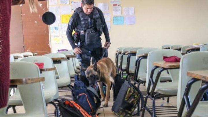 CEDH a favor de las revisiones de mochilas en las escuelas