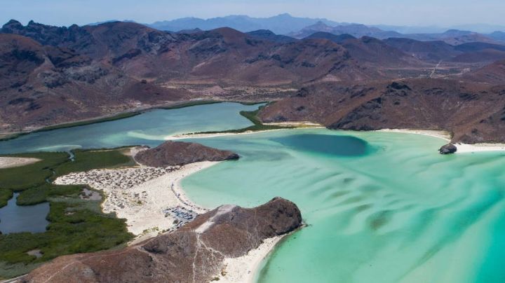 Playa Balandra: ¿Dónde está y cómo llegar al paradisíaco rincón?