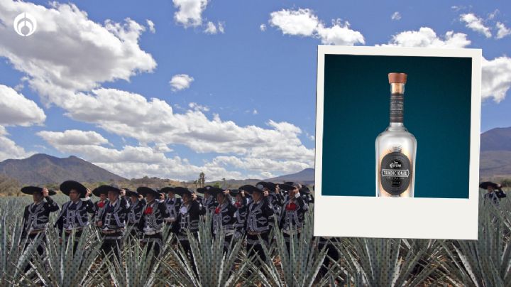 México ¿se quedará 'sin' tequila? José Cuervo enfrenta problemas de suministro