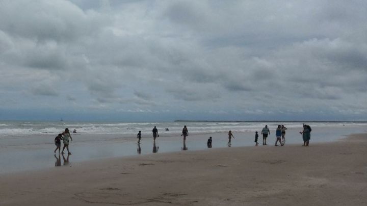 Playa Miramar está libre de Marea Roja