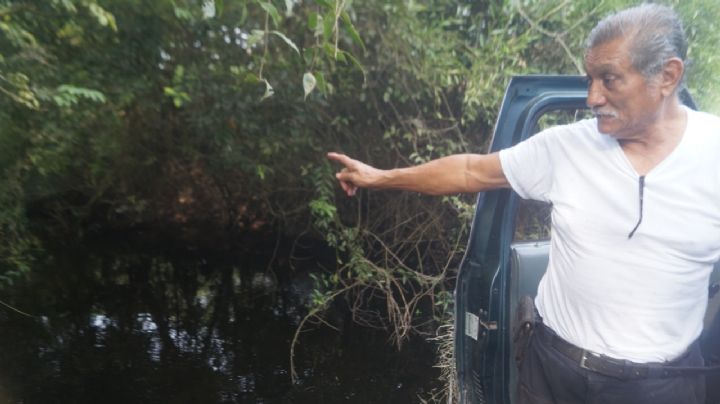 Continua el ecocídio: Descarga de desechos químicos sigue acabando con el medio ambiente