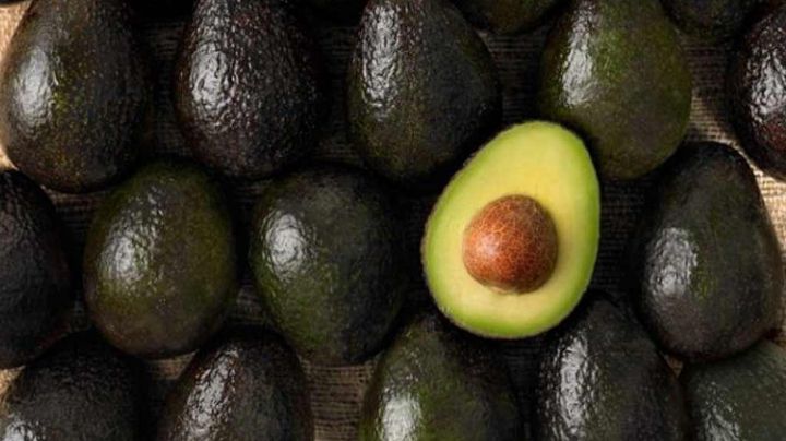 ¿Adiós guacamole? Precio de aguacate alcanza los 150 pesos en México