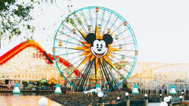 ¡Hay chamba! Disneyland busca salvavidas por 368 pesos la hora