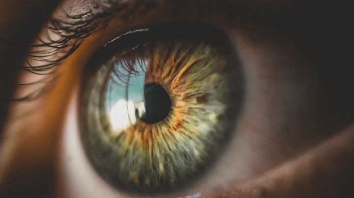 Día Mundial del Glaucoma: ¿Qué es y cómo detectar los primeros síntomas?