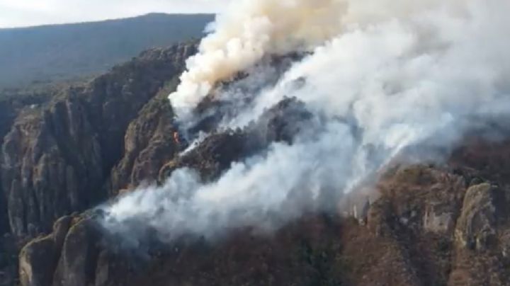 "Estaba drogado": Detienen a sospechoso de causar incendio en Tepoztlán