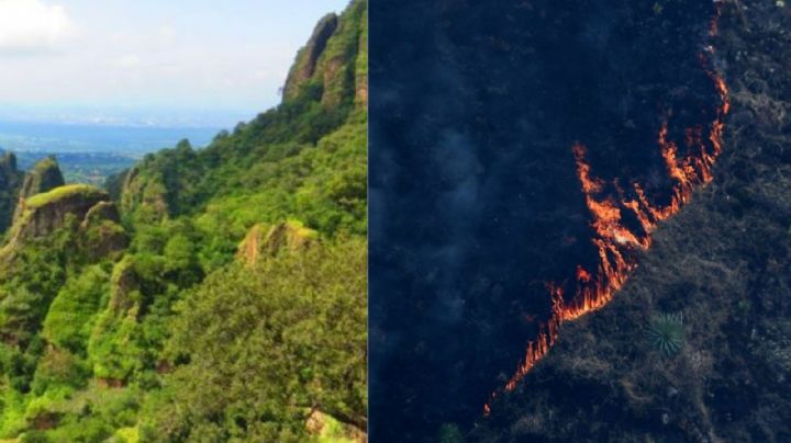 Tepoztlán, antes y después: así ha sido destrozado por incendio (FOTOS)