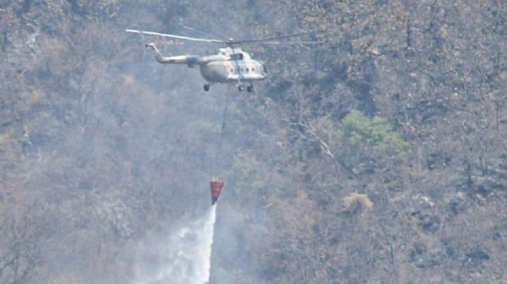 México tiene 33 incendios activos: control en Tepozteco va al 60%