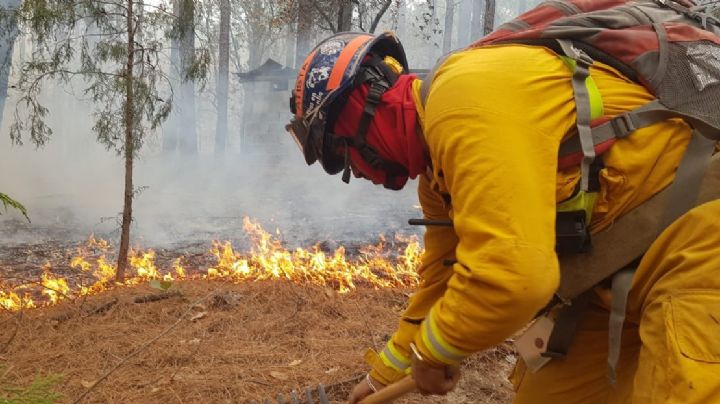 México “en llamas”: ¿por qué hay tantos incendios forestales?