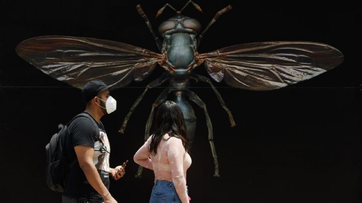 'Insectos gigantes' inundan el Bosque de Chapultepec de México en Semana Santa 2022