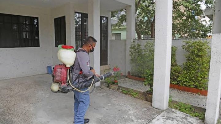 Intensifican programas de fumigación en Madero.