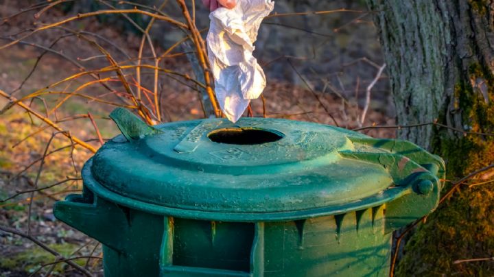 Servilletas de papel: ¿Son un residuo orgánico o inorgánico?