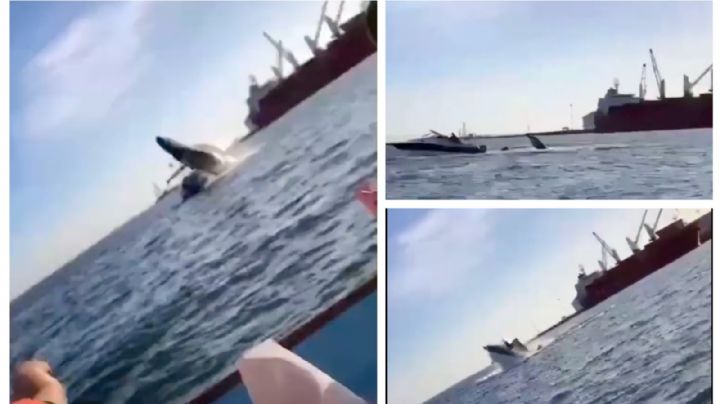 Moby Dick es sinaloense: ballena aplasta bote con dos pasajeros (VIDEO)