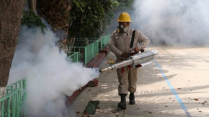 Poza Rica desciende en los índices de contagio de Dengue, Chikungunya y Zika