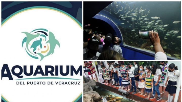 Acuario de Veracruz reabre... como Aquarium: ofrecerá estos nuevos descuentos