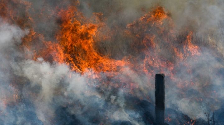 Incendios forestales: Durango podría perder 35 mil hectáreas por el fuego