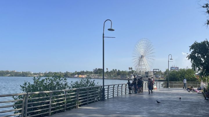 La Laguna del Carpintero: ¿Pueden convivir los cocodrilos con manatíes?