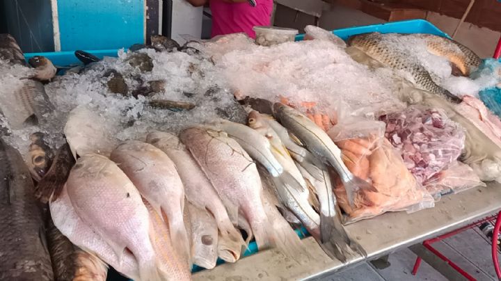 Escasez de agua provoca subida de precio del hielo en Altamira