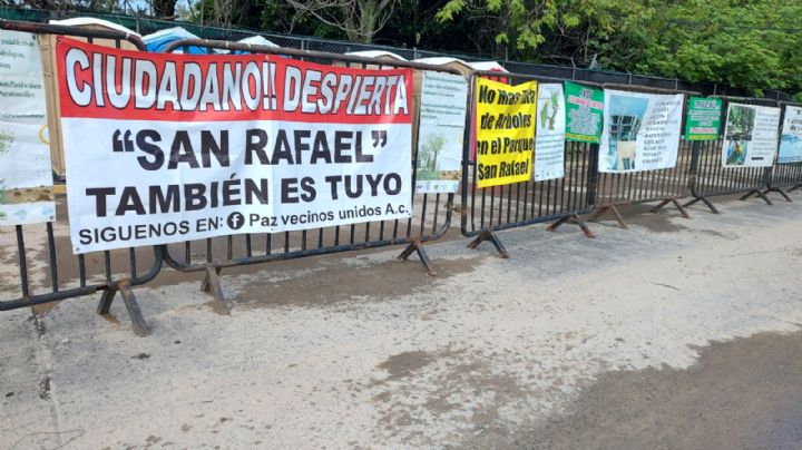 Suspenden de forma definitiva tala de árboles en parque San Rafael