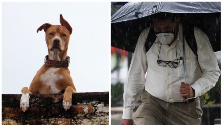 Clima para hoy jueves 14 de julio: ¡No dejes al ‘lomito’ en la azotea! Lloverá y duro