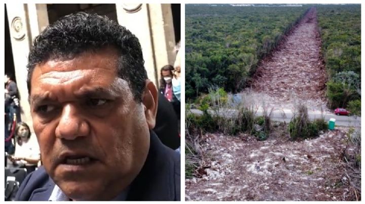 'Truco' para Tren Maya: retoman obras porque es de seguridad nacional, dice Fonatur