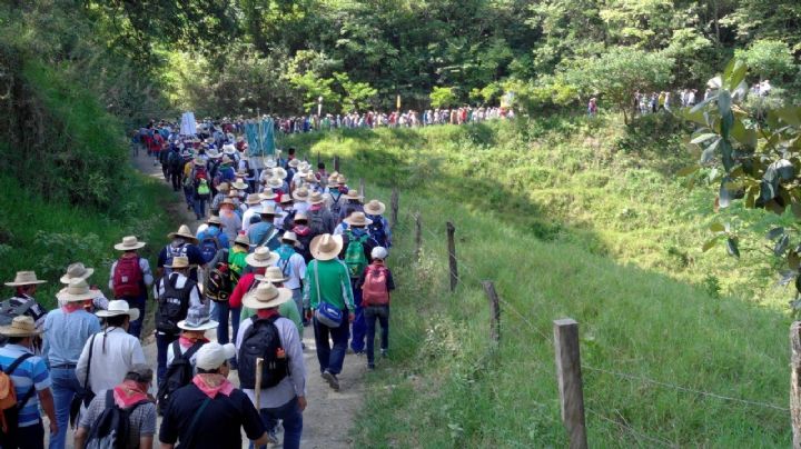 Columna de mujeres no participaría en Peregrinación al Tepeyac