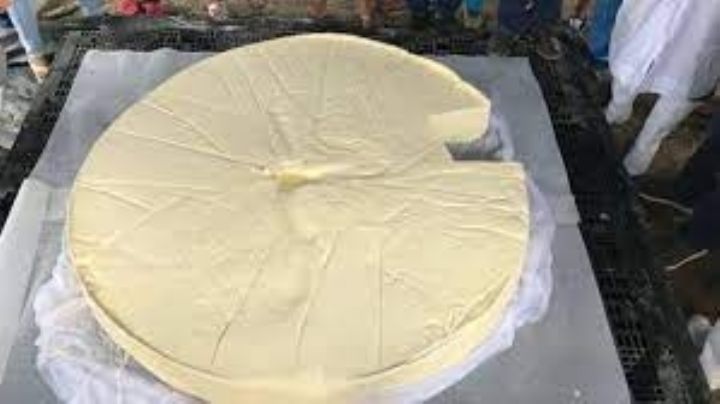 En Tlalixcoyan se hará presente el Queso más grande de México, ¿se te antojó?