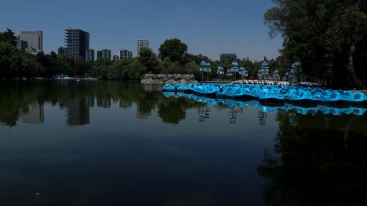 Tragedia en Chapultepec: hallan a persona muerta en el lago