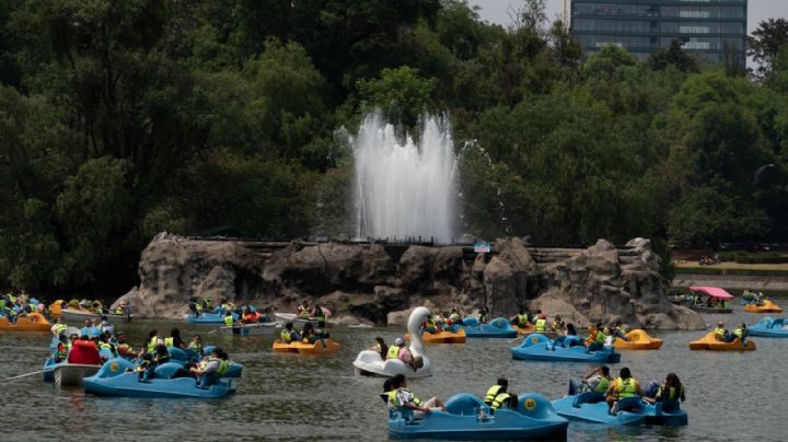 Tragedia en Chapultepec: ¿Qué hay en las aguas del lago y qué hacer si te caes?