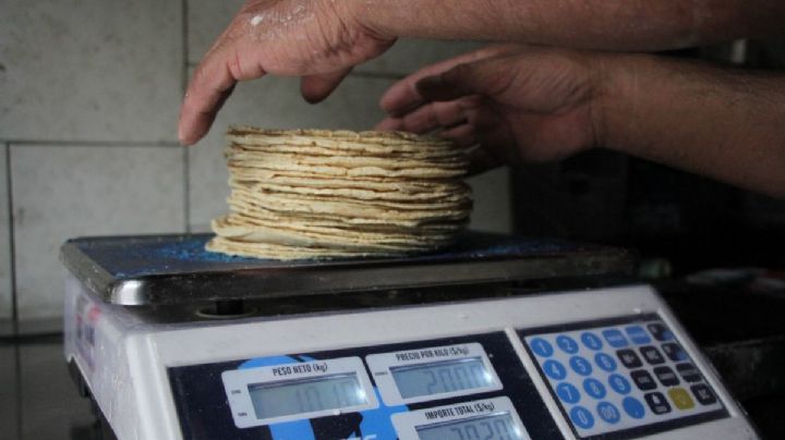 Tortillas por las nubes: Kilo se acerca peligrosamente a los 30 pesos