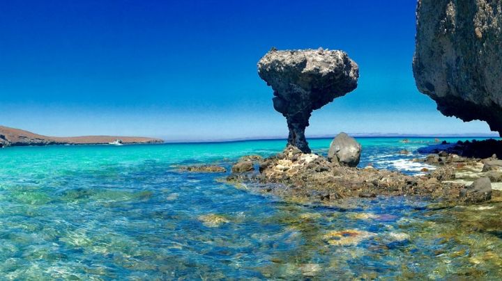 Incendio en playa Balandra: Profepa alista denuncia penal por afectación ambiental