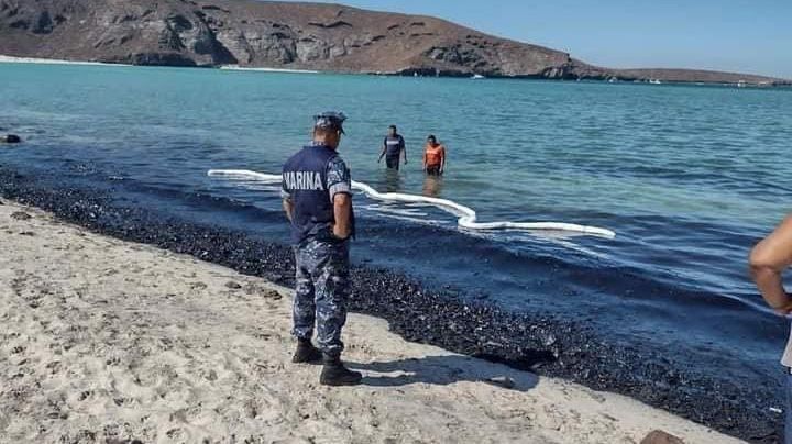 Playa Balandra: Se desconocen los daños a las especias marinas, limpieza avanza en un 70%