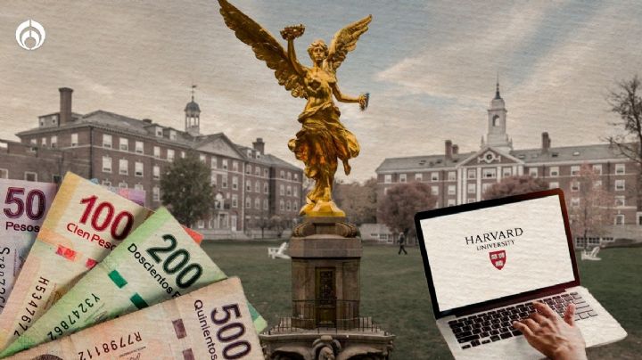 ¿Quieres estudiar en Harvard? Estos son los cursos y becas que ofrece en México