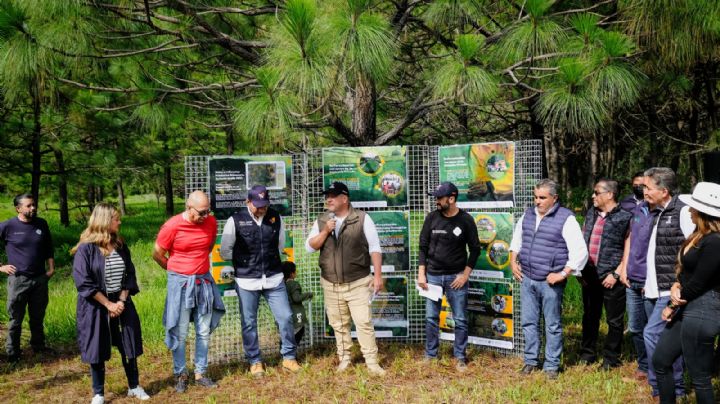 Arrancan reforestación en bosque La Primavera