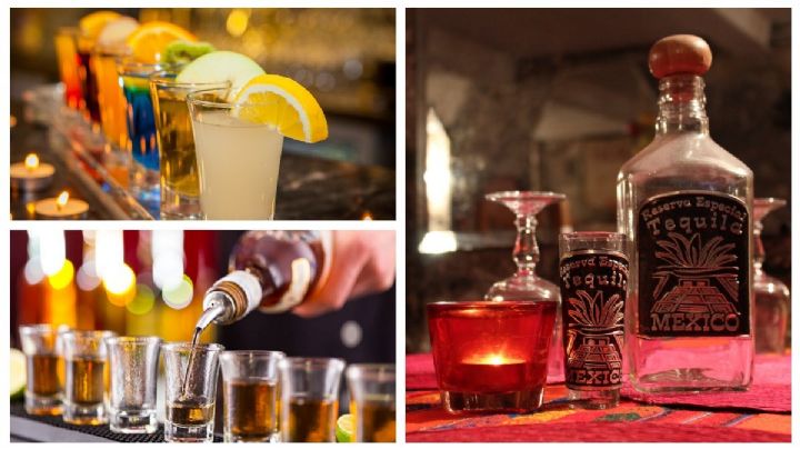 Catador de tequila: ¿cuánto ganan y dónde pueden estudiar en México?