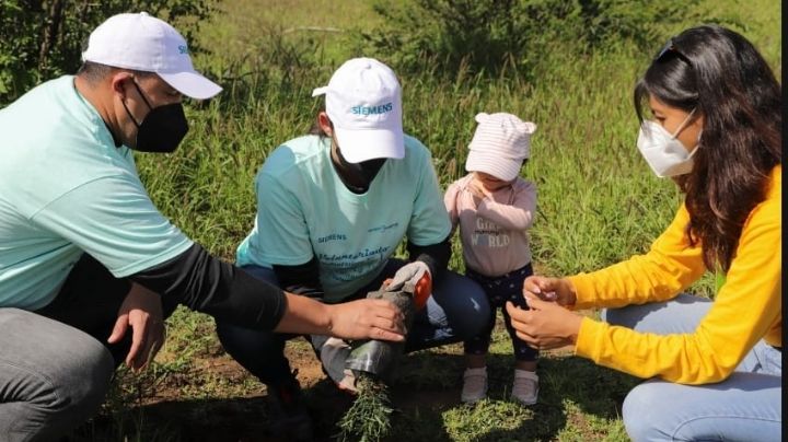 Medio ambiente: Reforestan campus Tequisquiapan en beneficio de mantos acuíferos