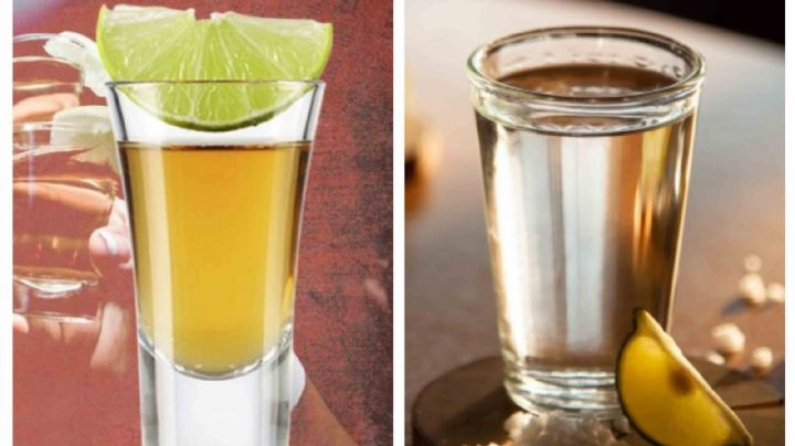 Tequila: ¿por qué es mejor tomarlo en vaso que en caballito? Te decimos