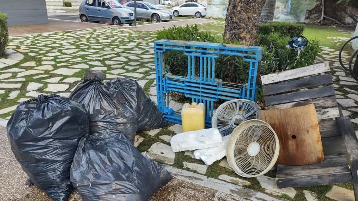 ¿Cuánta basura de recolecta diariamente en la Laguna del Carpintero?