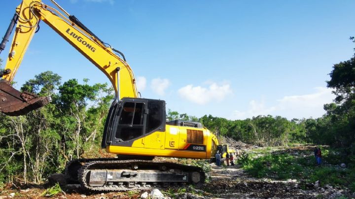 El quitarrisas para el Tren Maya: la batalla legal en su contra está ‘vivita y coleando’