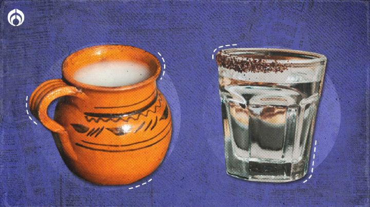 Pulque o mezcal: ¿Cuál contiene probióticos, proteínas y varias vitaminas?