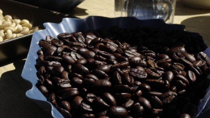 Las 3 mejores marcas de café mexicano para este 2023, según expertos