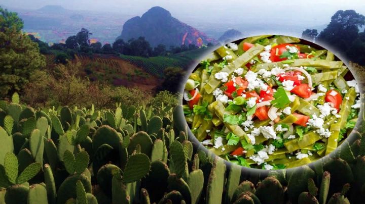 Tlalnepantla, Morelos, ¿Por qué es la Capital Mundial del Nopal?