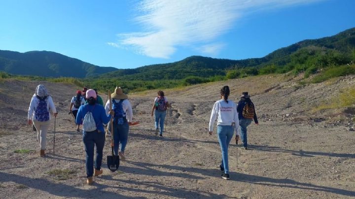 "Nos ha tocado escuchar balazos", colectivos de búsqueda exigen mayor seguridad