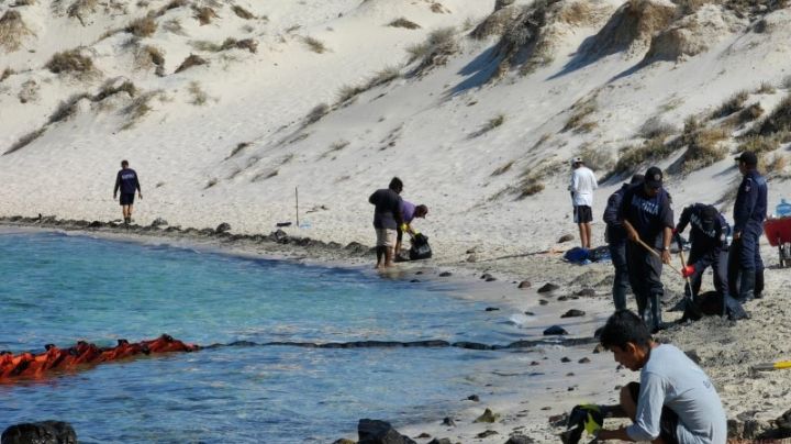 Vinculan a proceso a presunto responsable del 'desastre' ambiental en Playa Balandra