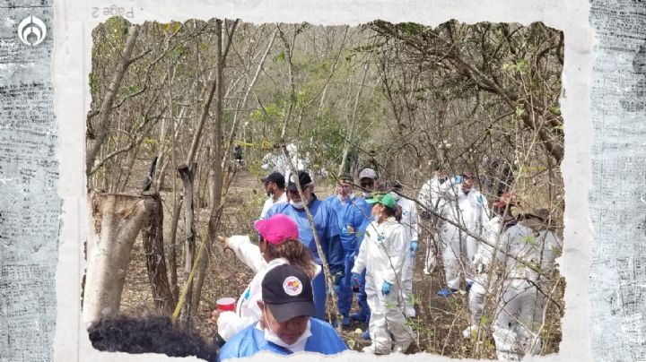 Horror en Michoacán: hallan 3 fosas clandestinas con 6 cadáveres en Zitácuaro