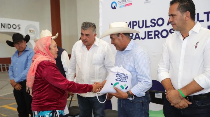 Sequía en Querétaro: implementarán programas de apoyo ante crisis en campo y ganadería