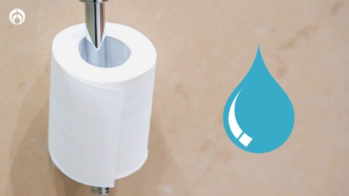 Estas son las 8 marcas de papel de baño con mala resistencia al agua, según Profeco