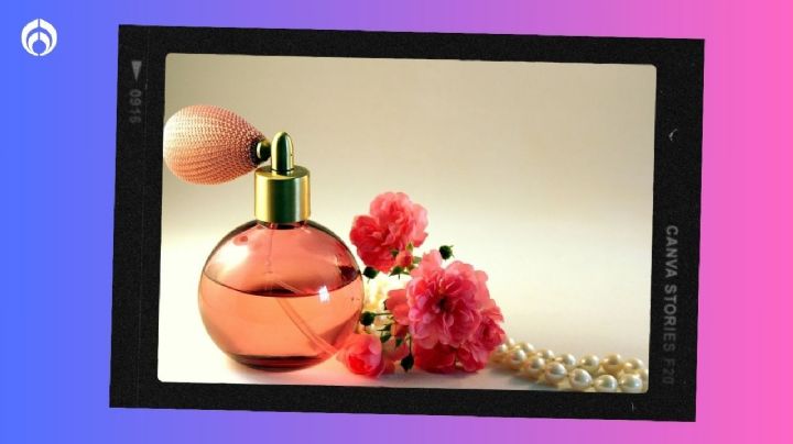 Los 5 perfumes frescos y super duraderos que venden en Fraiche